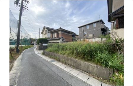 知多市八幡字樹木