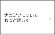 ナカジツについてもっと詳しく
