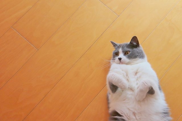 床