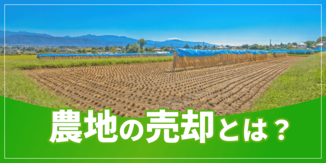 農地の売却のアイキャッチ
